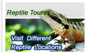 India Reptile Tours