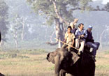 India Elephant Safari