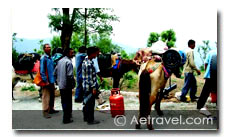 Corbett Horse Safari