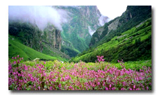 Valley of Flowers trek