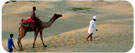 India Camel Safari, India Adventure Tours