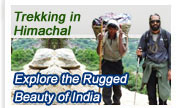 Trekking in Himachal