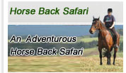India Horse Back Safari