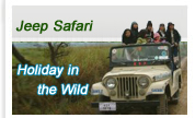 India Jeep Safaris