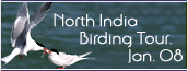 India Birding Tours