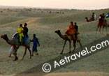 Camel Safari Adventure