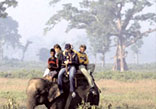 India Elephant Safari