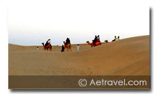 Camel Safari in Rajasthan