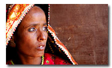 Gujrat Tribal Tour