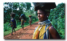 Orissa - Bastar Tribal Tour 