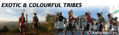 India Tribal Tours