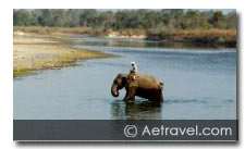 Bandhavgarh Tiger Safari