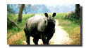 East India Wildlife Tour
